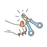 dog grooming montreal