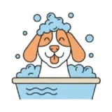 dog grooming montreal