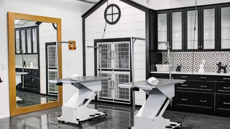 Dog grooming montreal